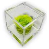 Premium-rose.com PremiumRose Cubo Rosa Stabilizzata Verde Profumata da 6 cm con Rosa Eterna Vera | Idea Regalo Mamma, Fidanzata, Amica, Idea Regalo per Compleanno, Laurea | Fatto a Mano in Italia (Verde - A 1069)