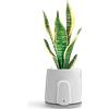 VITESY NATEDE SMART Purificatore Aria Sostenibile Senza Filtri con Sistema di Monitoraggio Integrato | -99% Batteri, Muffa, COV, Virus | Cattura Odori