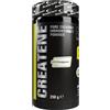 Anderson Professional Sport Supplements Anderson® Creatina Monoidrato 100% Creapure®250 g - Potenziamento Energetico, 73 dosi x 3.4 g - CREATENE, Pure Creatine Monohydrate Powder