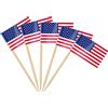 AhfuLife 100pcs Americane Bandiera di Stuzzicadenti, Mini Bandierine America Stuzzicadenti, Carta Bandiera USA, per Decorare Cocktail, Torte, Frutta, per Festa (100pcs, America)