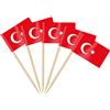 AhfuLife 100 Bandiera Stuzzicadenti Türkiye da Cocktail, Bandiere Stuzzicadenti per Panini, Cibo, Tazze di Carta, Torte, Frutta, Forniture per Feste, Decorazioni Bar (100 pezzi, Türkiye)