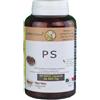 GOLDEN WAVE Srl PS 90MAXI CPS
