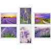 DKORARTE Set di 6 quadri base in legno, decorazione soggiorno, camera da letto, camera, paesaggio, natura, Campi Lavanda Brihuega con ganci metallici, (2 x 38 x 29 cm, 4 x 29 x 20 cm)