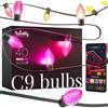 Twinkly C9 Bulbs 40 LED RGB, Striscia Lampadine LED Mappabili Esterno e Interno, Luci LED Smart Multicolore, Compatibile con Alexa e Google Home, Luci Gaming, IP44, Controllo App, Filo Verde, 12.2m