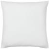 ESSIX Tendresse Federa per Cuscino, Cotone, Bianco, 65 x 65 cm