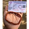 Bracciale Rudraksha Naturale RUDRAKSHA 5 mukhi Rudraksh Certificato LAB REGOL...