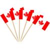AhfuLife 100pcs bandiera Stuzzicadenti Canada, Piccole Bandiere Canadesi per Toppi di Taglio, Cure Dentale bandiera per Giardini, Bar, Festività, Pubblico Decorazione