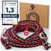 Golden Pets Nota di prova: molto buono - Guinzaglio riflettente I 3 m, regolabile, resistente alle intemperie e agli strappi fino a 250 kg I Guinzaglio Paracord, Guinzaglio a tracolla I cani di piccola taglia