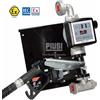 PIUSI ST EX 50 K33/AUT STAZIONE TRAVASO ATEX