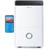 Pro Breeze Deumidificatore Casa Muffa 30L/giorno, display digitale dell'umidità, Drenaggio continuo, Timer 24 ore, Funzione di sbrinamento automatico - Ideale per umidità e condensa