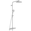 Hansa Viva colonna doccia con termostatico, 6515920180, Viva acciaio inox spazzolato [Rubinetteria Bagno > Colonne Doccia]