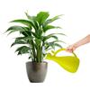 Zendea Annaffiatoio per Piante in Plastica Verde Resistente 13,2x10,5cm - Ideale per Prendersi Cura di Piante e Fiori in Giardino, Balcone o Terrazzo - Beccuccio Lungo e Sottile e Capacità 1,6L