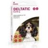 LIVISTO DELTATIC COLLARE ANTIPARASSITARIO TAGLIA PICCOLA CM 35