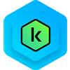 Kaspersky Lab KASPERSKY (ESD-licenza elettronica) STANDARD -- 5 DispositivI - 1 anno (KL1041TDEFS) - KL1041TDEFS