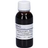 Hering Aesculus Hippocast 60Ml Tm 60 ml Tintura