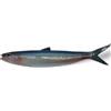 CERAMICHE CALTAGIRONE Pesce in Ceramica - Alaccia mediterranea cm 22
