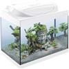 Tetra Acquario in Vetro Starter Line 30 Litri Completo di Luce e Filtro Colore Bianco