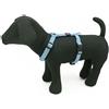 PET AROUND YOU Pettorina Reflective Nylon Celeste XS