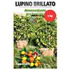 SGARAVATTI LUPINI BRILLATO AMMENDANTE 1 KG