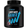 Self Omninutritions Self Large Mass Gainer 2 kg