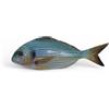 CERAMICHE CALTAGIRONE Pesce in Ceramica - Orata mediterranea cm 20