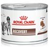Royal Canin Veterinary Diet Royal Canin V-Diet Recovery per Cani e Gatti - 195 g