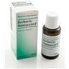 Guna Berberis Homaccord Heel Gocce 30 ml