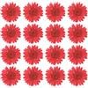 PATIKIL 48 Pezzi Fiori Secchi Pressati Fiori di Margherita Naturali per Artigianato Fai Da Te Decorazione Casa Decorazione Unghie, Rosso intenso