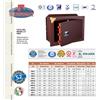TECHNOMAX CASSAFORTE KM/5L 34X46X24 HxLxP CHIAVE DOPPIA MAPPA TECHNOMAX KM