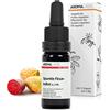 Aroma Labs Semi di Fico d'India BIO (Opuntia ficus-indica) - 10 mL - Olio Vegetale Vergine e Certificato Cosmos - Aroma Labs - Made in France