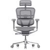 Procomfort ERGOHUMAN ELITE EVOLUTION Struttura Grigia - Rete Grigia