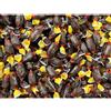 Pastiglie Leone - Caramelle Caffè Senza Zucchero - 250 grammi