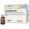 Farmaceutici Damor Cerebrain Integratore Colina E Vitamina B12 12 Flaconcini
