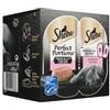 Sheba Perfect Portions Luxe Paté con salmone cibo umido per gatti (6 x 37,5 g) Per 8 confezioni