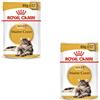 Royal Canin Maine Coon Adult | Confezione Doppia | 2 x 12 x 85 g | Cibo umido per gatti | Specificamente adattato alle esigenze dei gatti Maine Coon | Contenuto energetico adeguato