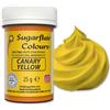 Sugarflair Colours Sugarflair Spectral Concentrated Paste Colours Canary Yellow, Giallo, Colorante Alimentare Pasta, Colorante per Pasta di Zucchero e Mazapán - 25g