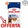 Royal Canin SHN Dog Maxi Adult - Bustina Da 140 Gr - CONFEZIONE RISPARMIO