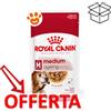 Royal Canin SHN Dog Medium Adult - Bustina Da 140 Gr - CONFEZIONE RISPARMIO