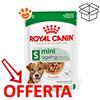 Royal Canin SHN Dog Mini Ageing 8+ - Bustina Da 85 Gr - CONFEZIONE RISPARMIO