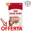 Royal Canin SHN Dog Medium Ageing 10+ - Bustina Da 140 Gr - CONFEZIONE RISPARMIO