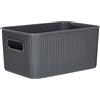 TATAY Scatola Portaoggetti Baobab Senza BPA Design Compatto Versatile