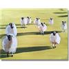 James Coates - Stampa artistica da parete con pecore in campo, 40,6 x 30,5 cm (A3)