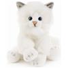 Plush & Company Peluche Gatto Seduto Plush & Company Raji