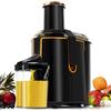 Cecotec ExtremeTitanium 19000 XXL Frullatore frutta e verdura con 19000 giri/min, 1300 W, canale di ingresso 75 mm, disco in titanio, 2 velocità e senza BPA, nero