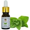 AgoraMarket 100% Puro Olio di Origano Greco Grado Terapeutico 10 ml Carvacrolo Alto (10 ml)