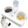 BAYINBROOK Doppia ciotola per animali domestici,3 in 1Doppio Ciotole per Gatti,Distributori Automatici di Cibo & Acqua,Set di Ciotole Doppie per Cani di Taglia Piccola o Media (bianca)