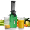 Ventray Ginnie Estrattore Frutta e Verdura - Slow Juicer 60 Giri/Min- Estrattore di Succo con Funzione di Masticazione Inversa, Facile da Pulire, Senza BPA, Cold Press, Spremiagrumi Elettrico, Verde