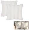 CAREDGO 2 Pezzi Fodere per Cuscini in Velluto 40x40 Copricuscini Decorativi Federe Decorative Bianche Federa per Cuscino Divano Federe Cuscini Autunno per Letto/Sedia/Soggiorno