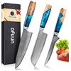 oFuun 3 Pezzi Set Coltelli da Cucina Professionali coltello giapponese acciaio damasco 67 Strati, Coltello Da Cucina Giapponese Professionale Coltello da Chef Coltelli Carne Per Chef E Appassionati