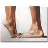 James Coates - Poster da parete, stampa artistica con piedi nudi, 40,6 x 30,5 cm (A3)